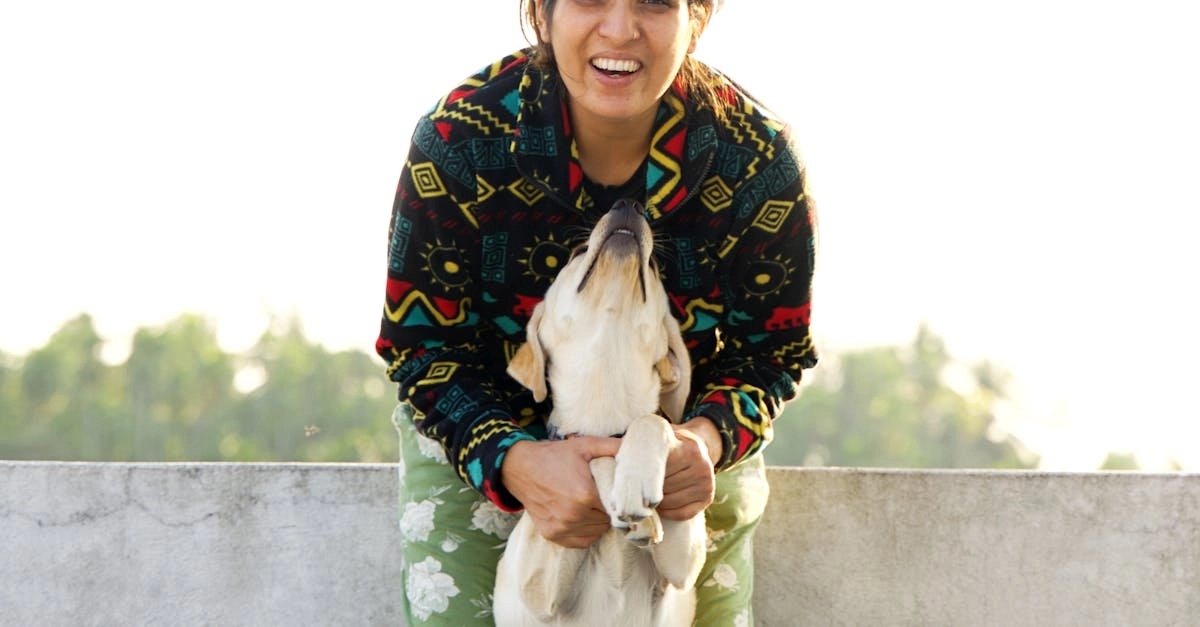 Программы лояльности казино без депозита для энергичных игроков